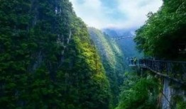 黔江最新爆料电话,揭秘背后惊人内幕